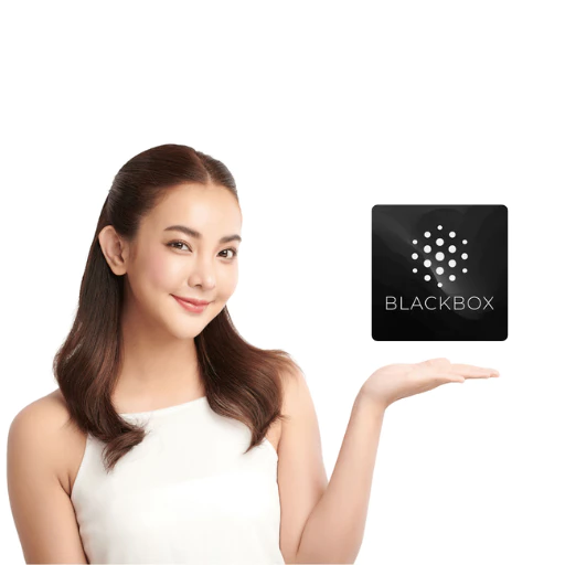 BlackBox Ai